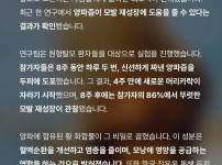 양파즙의 효능 탈모에 탁월