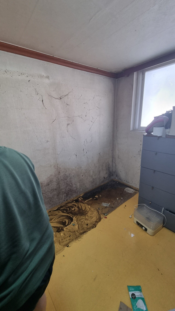 오랜만에 집청소한다 ㅁㅌㅊ?