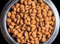 누렁이에대한 오해