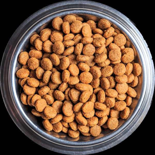 누렁이에대한 오해