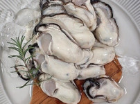 호불호 완벽하게 갈리는 음식