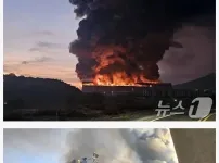 현재 뉴발란스 초비상 걸린 이유