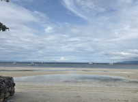 실시간 보홀입니다~