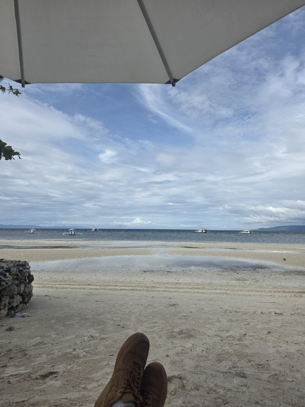 실시간 보홀입니다~