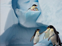 백종원 방송 중단 선언 유튜브 영상 삭제