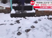 일본 삿포로 주택가 근황