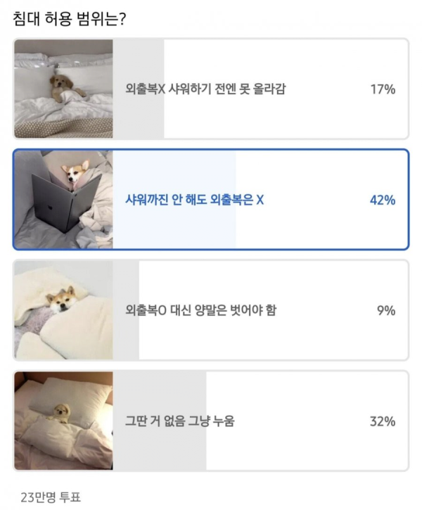 23만명이 투표했다는 침대 허용 범위