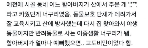 그건 개가 아니야 멍청이들아 개의 모습을한 무언가라구