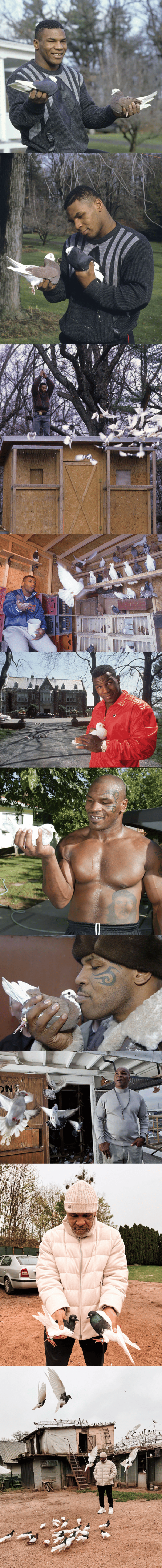 마이크 타이슨이 지금도 즐기는 취미