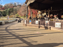 실시간 에버랜드