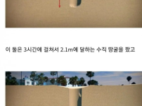 해수욕장에서 모래 파다가 생매장된 소년