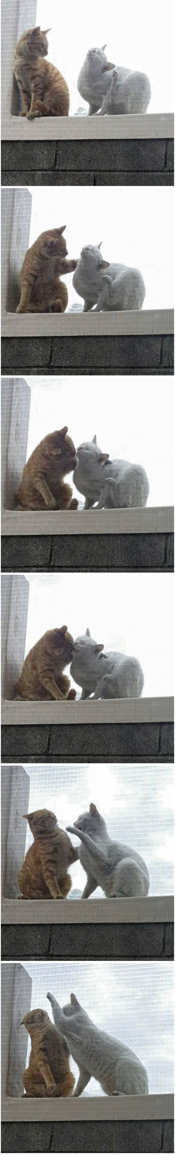 아내가 예뻐보여 뽀뽀 했더니...