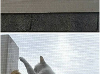 아내가 예뻐보여 뽀뽀 했더니...