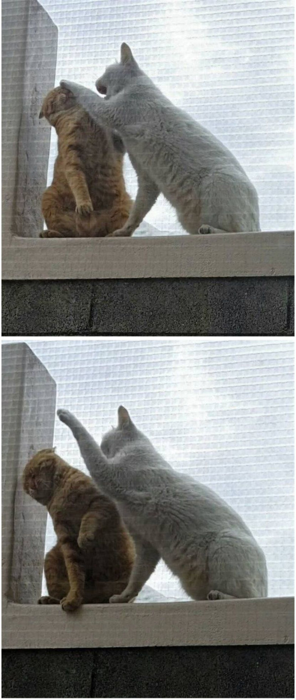 아내가 예뻐보여 뽀뽀 했더니...