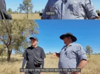 호주산 소고기만 유독 가격이 저렴한 이유