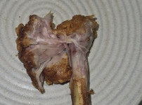 이거 닭 안익은것 맞죠?