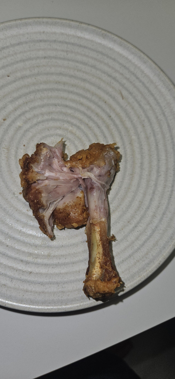 이거 닭 안익은것 맞죠?