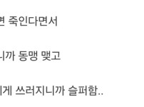 카이도가 빅맘을 대하는 태도 이상한 이유