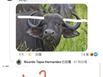 산길 왜 꼬불꼬불하게 뚫어놨냐 했다가 개꼽 먹었다