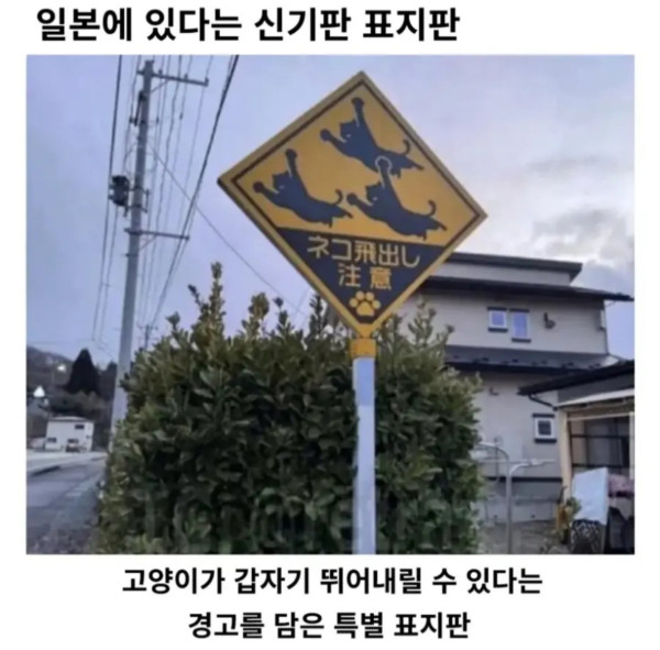 일본에 있다는 신기한 표지판