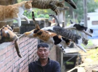 일본에 있다는 신기한 표지판