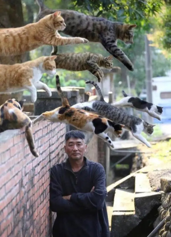 일본에 있다는 신기한 표지판