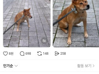 산책 중 급똥 터진 견주.