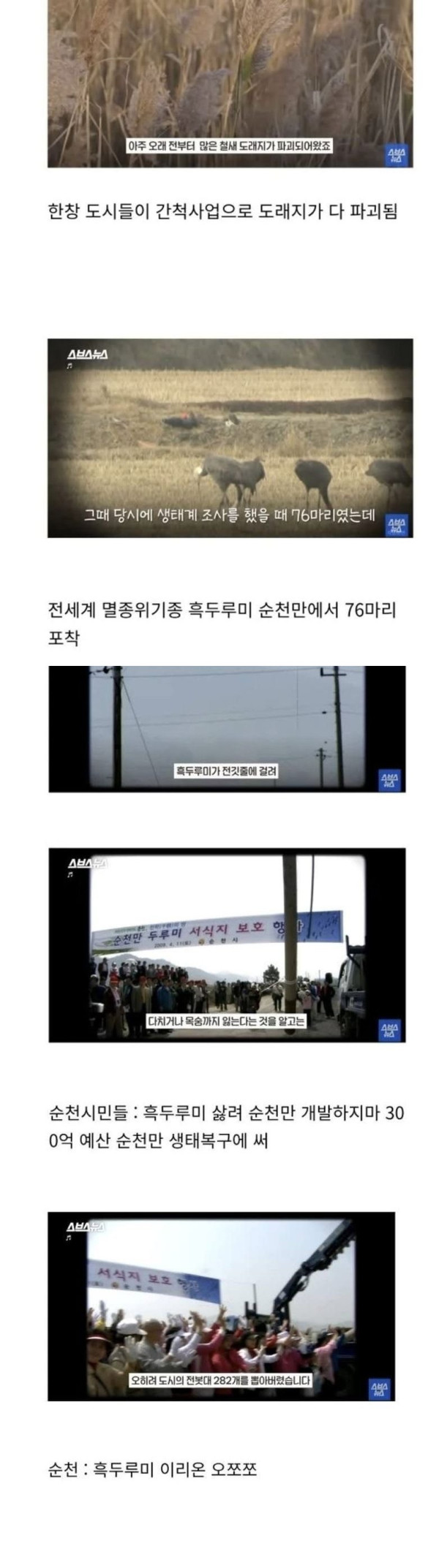 전라남도 순천시의 신의 한 수