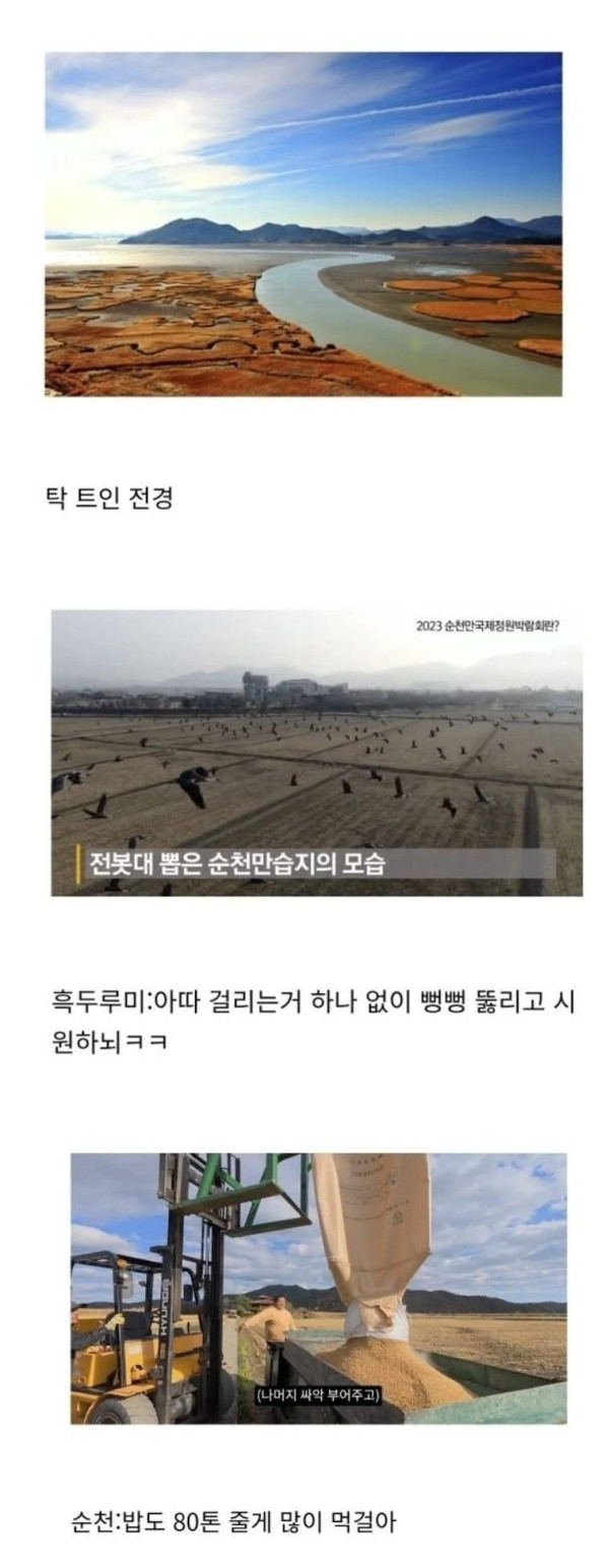 전라남도 순천시의 신의 한 수