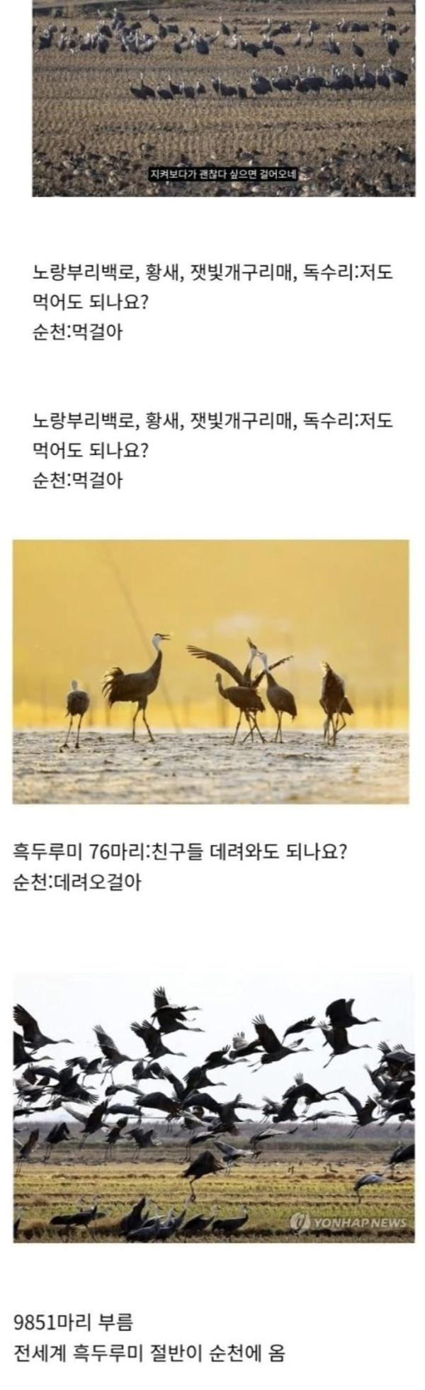 전라남도 순천시의 신의 한 수