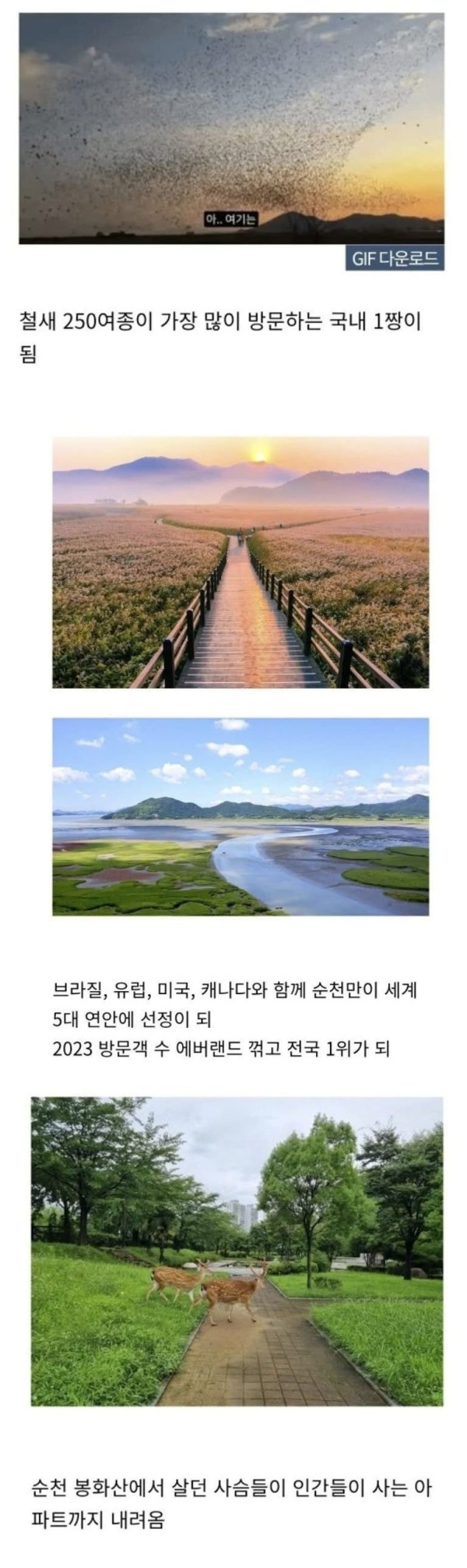 전라남도 순천시의 신의 한 수