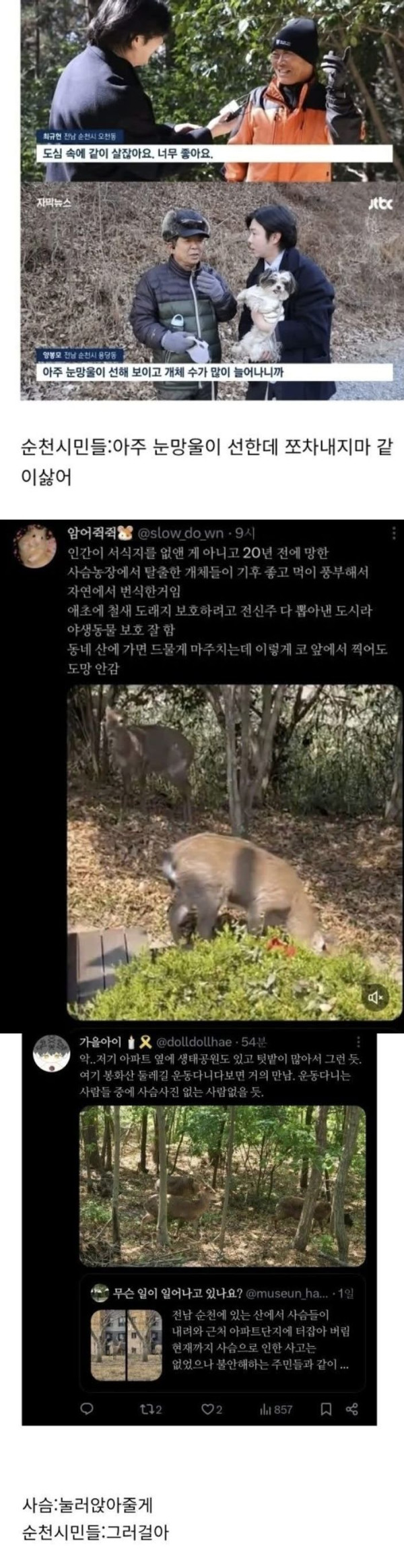 전라남도 순천시의 신의 한 수