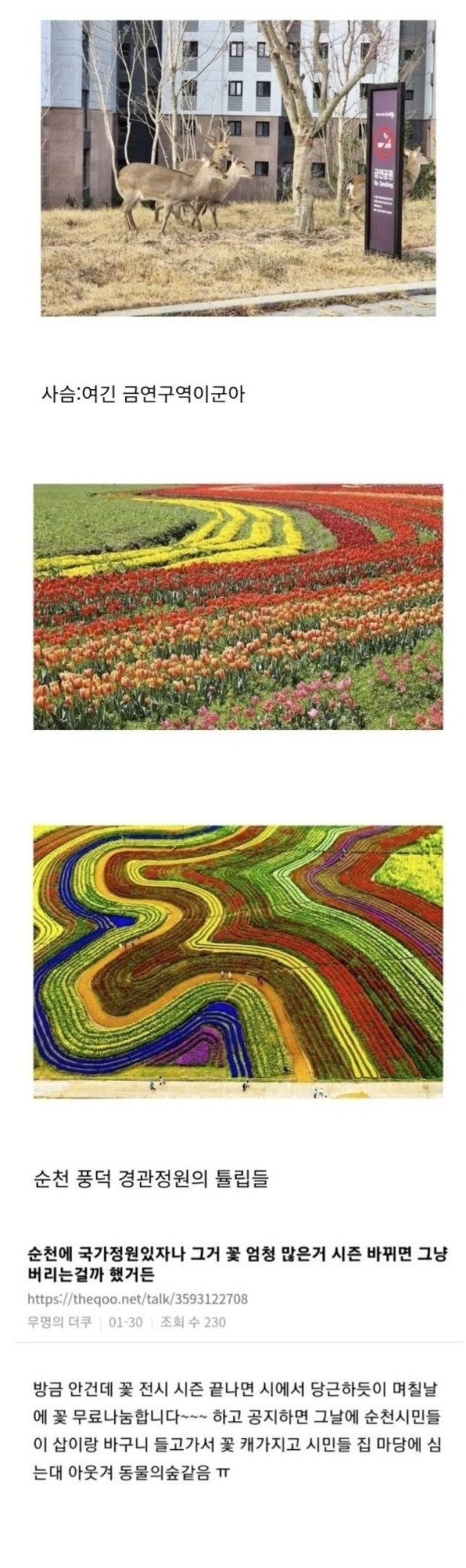 전라남도 순천시의 신의 한 수