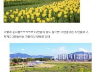 전라남도 순천시의 신의 한 수