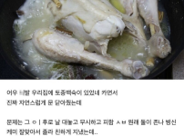 여동생 자위하는걸 봐버린 오빠