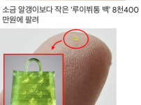 8천 400만원 짜리 루이뷔통 가방 클라스