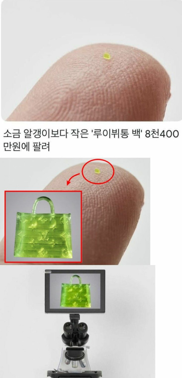 8천 400만원 짜리 루이뷔통 가방 클라스