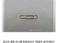 레딧에서 갑론을박이 펼쳐진 백만달러 벌기