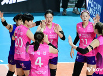 배구 강호들이 무너졌다 저물어가는 흥국생명/현대건설 &#039;2강 체제&#039;