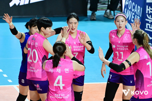 배구 강호들이 무너졌다 저물어가는 흥국생명/현대건설 