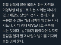 딸딸이 치기 전 참고해야하는 글