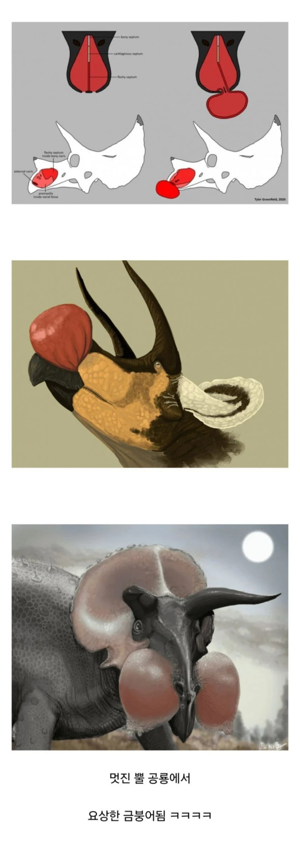 트리케라톱스 최신복원 근황