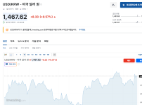 현재 환율 근황