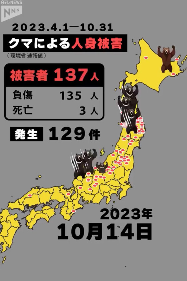 일본 곰 피해 의외의 사실