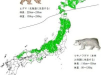 일본 곰 피해 의외의 사실