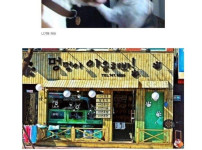 야옹아 멍멍해봐 멍멍아 야옹해봐