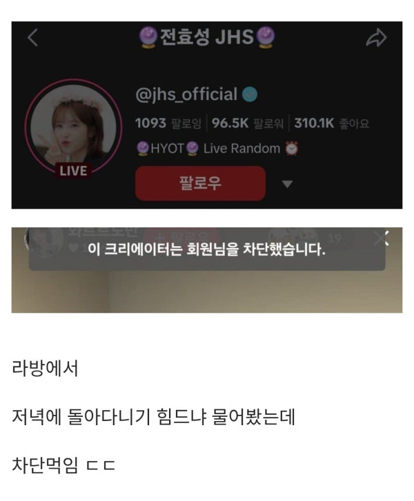 전효성한테 차단먹은 디시인 ㄷㄷ