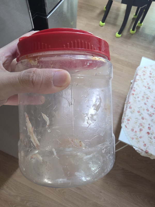 김장 하는데 그분 침투력 무엇?