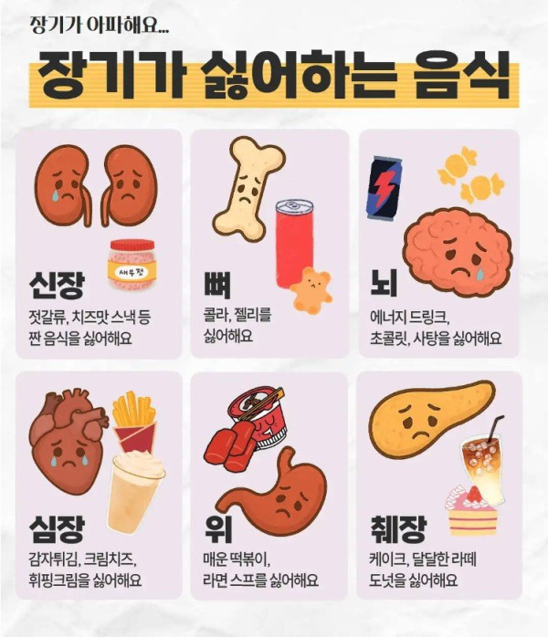 장기들 싫어 하는 음식 리스트