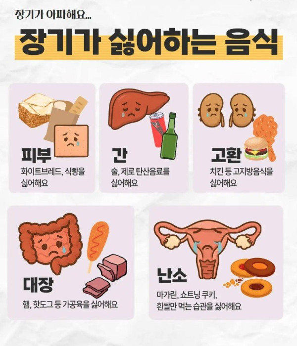 장기들 싫어 하는 음식 리스트